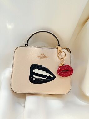 Coach X Tom Wesselmann Box Crossbody CQ045 with charm